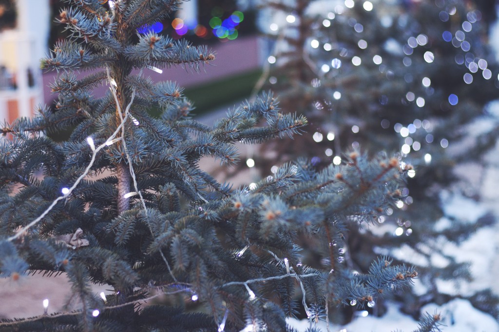 Simple tips to preventing Christmas tree fires